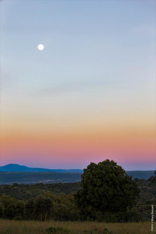 Eco-Lodge En La Reserva Privada Campanarios De Azaba - Proyecto De Conservacion Espeja 外观 照片