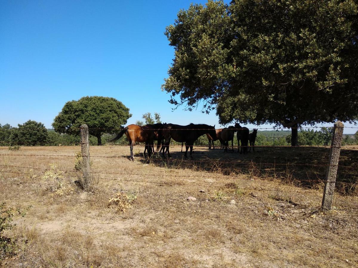 Eco-Lodge En La Reserva Privada Campanarios De Azaba - Proyecto De Conservacion Espeja 外观 照片